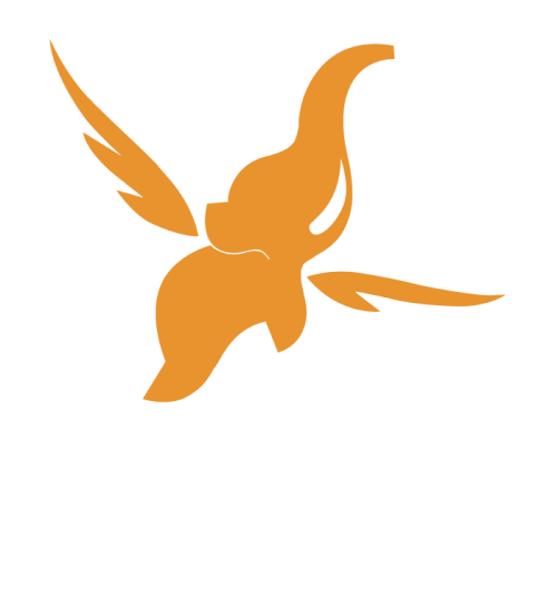 Toonz Media Group